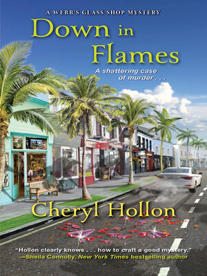 Down in Flames - ebook